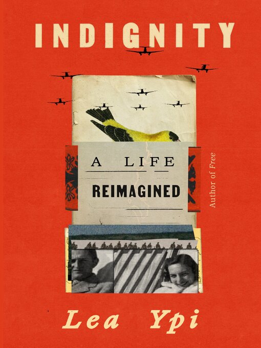 Cover image for Indignity